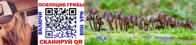 цена   MEGA зеркало  Галлюциногенные грибы GOLDEN TEACHER  Баксан 