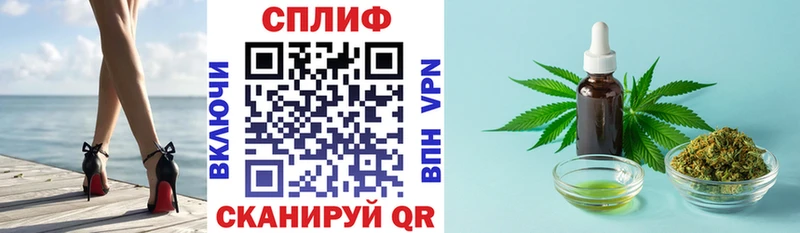 Конопля гибрид  Баксан 